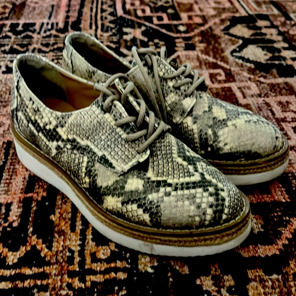 Steve Madden 5.5 Snakeskin Platform Oxfords